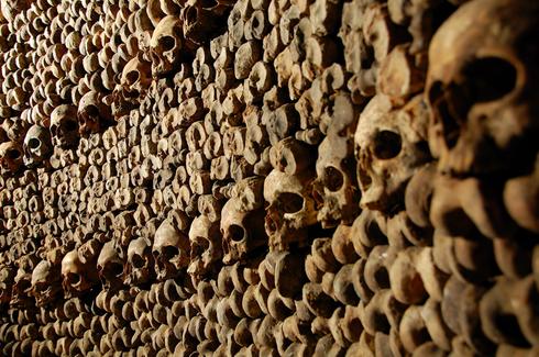 Photo Mur de Crânes Catacombes